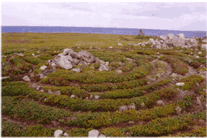 labyrinth